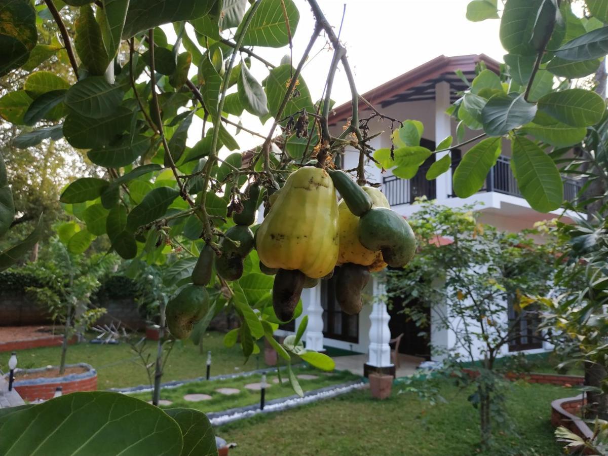 Sigiriya Cashew Palace Resort Daganapothaha Exterior foto