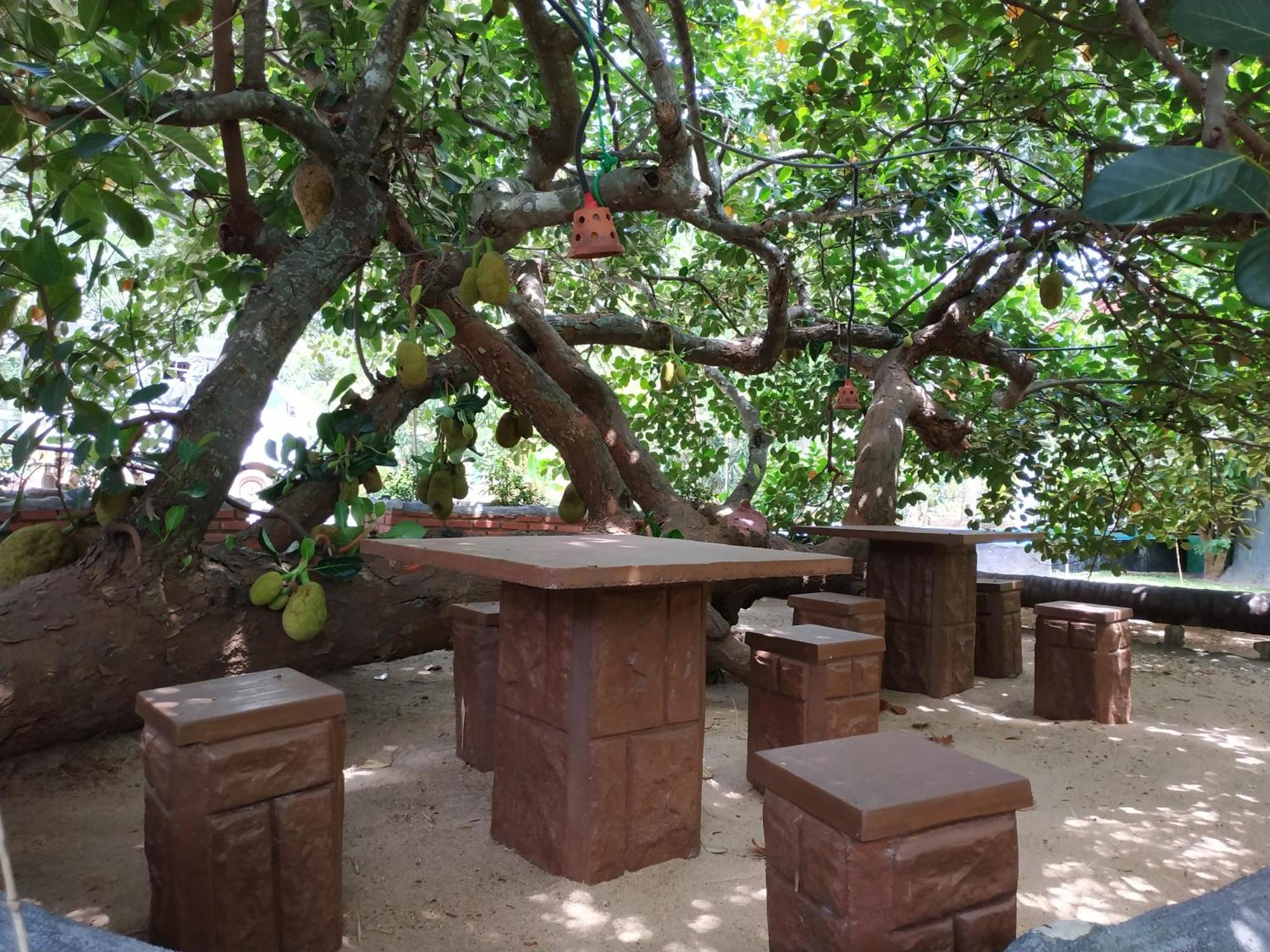 Sigiriya Cashew Palace Resort Daganapothaha Exterior foto